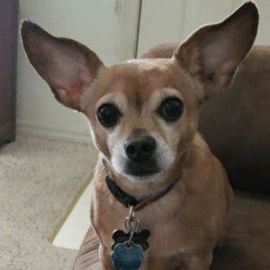 Meet your Posher, Hanna